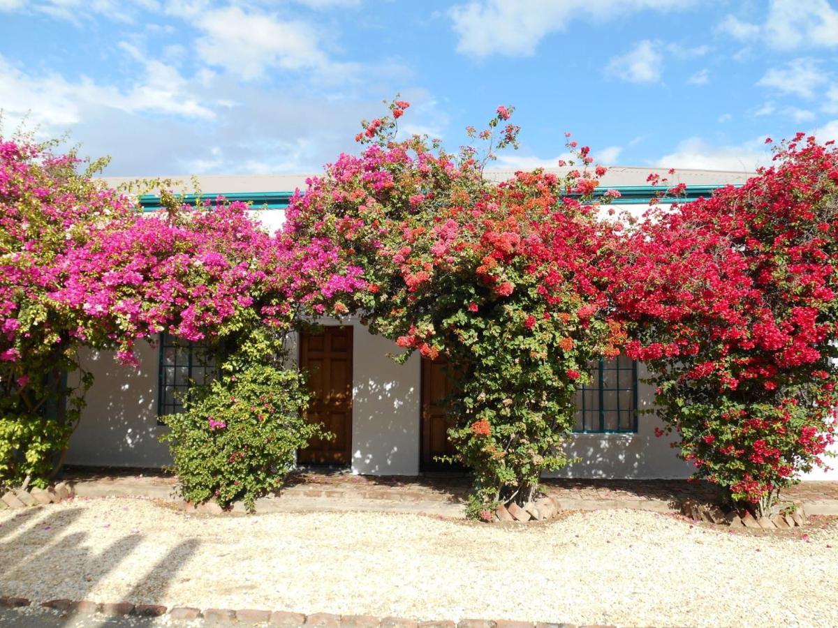 Obesa Lodge Graaff-Reinet Exterior foto